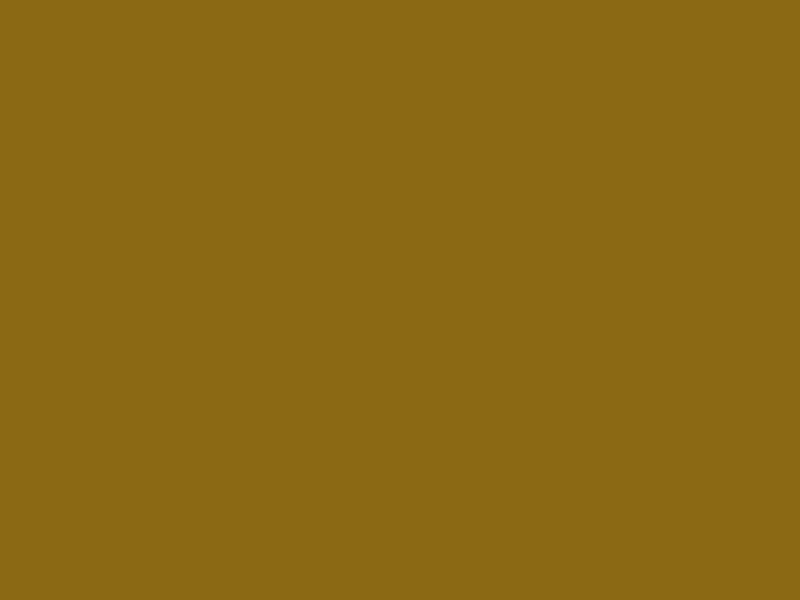 brown_8B6914.png